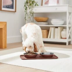 Frisco Silicone Stainless Steel Double Diner Dog & Cat Bowl, Brown -Pet Store 277551 PT2. AC SS1800 V1630346531