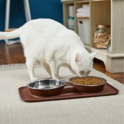 Frisco Silicone Stainless Steel Double Diner Dog & Cat Bowl, Brown -Pet Store 277551 PT3. AC SS1800 V1630348104