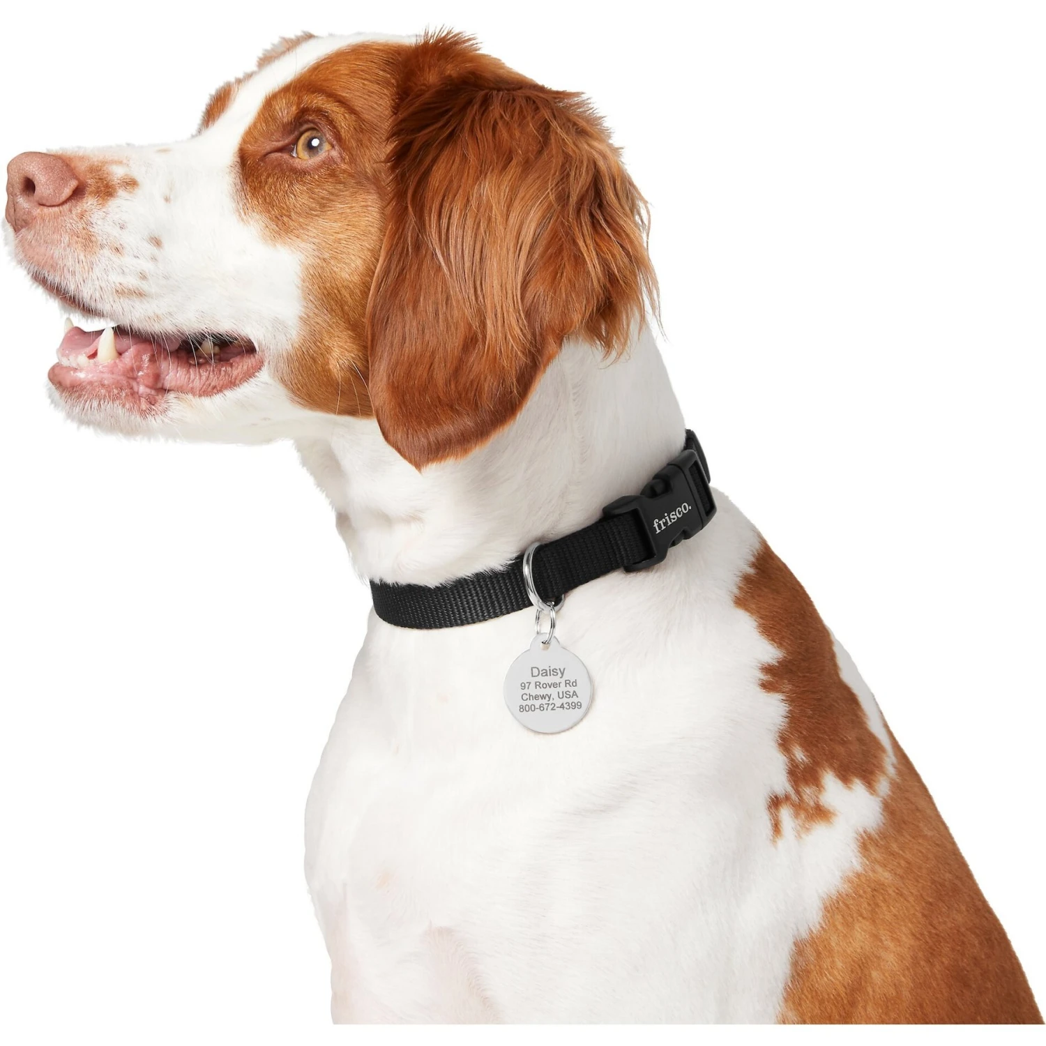 Frisco Chewy Stainless Steel Personalized Dog & Cat ID Tag with Enamel Infill, Round Frisco Chewy Stainless Steel Personalized Dog & Cat ID Tag With Enamel Infill, Round -Pet Store 281947 PT6. AC SS1800 V1624340590