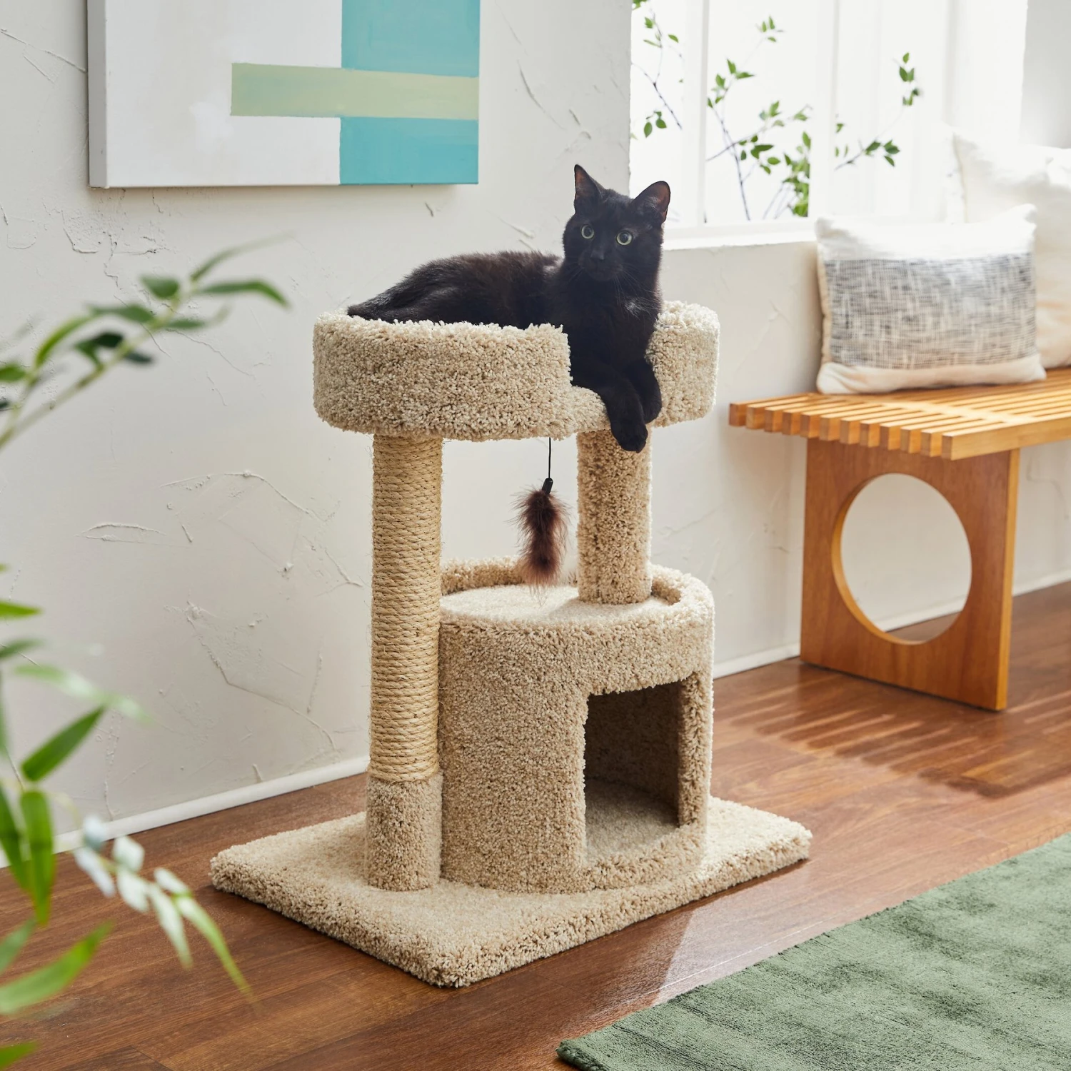Frisco 27-in Real Carpet Cat Tree with Condo and Oval Perch Frisco 27-in Real Carpet Cat Tree With Condo And Oval Perch -Pet Store 282747 MAIN. AC SS1800 V1621949056