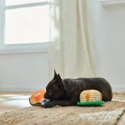 Frisco Fall Pancakes & Maple Syrup Plush Squeaky Dog Toy, 2 Count -Pet Store 285627 PT3. AC SS1800 V1629725170
