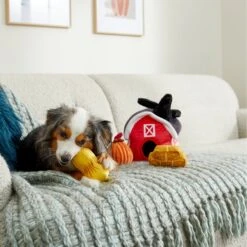 Frisco Fall Farmhouse Hide & Seek Puzzle Plush Squeaky Dog Toy -Pet Store 285629 PT3. AC SS1800 V1629725107