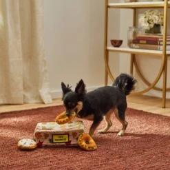 Frisco Fall Box Of Donuts Hide & Seek Puzzle Plush Squeaky Dog Toy 5 Frisco Fall Box Of Donuts Hide & Seek Puzzle Plush Squeaky Dog Toy -Pet Store 285639 PT3. AC SS1800 V1629725027