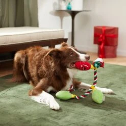 Frisco Holiday Lights Plush With Rope Squeaky Dog Toy -Pet Store 287109 PT3. AC SS1800 V1632775707