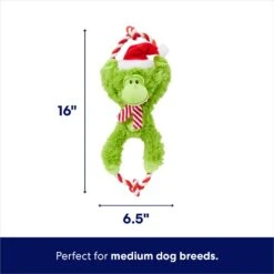 Frisco Holiday Monkey Plush With Rope Squeaky Dog Toy -Pet Store 287115 PT1. AC SS1800 V1695046103