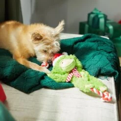 Frisco Holiday Monkey Plush With Rope Squeaky Dog Toy -Pet Store 287115 PT3. AC SS1800 V1632774182