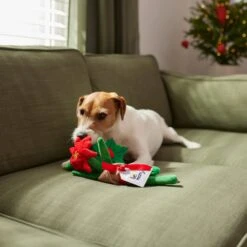 Frisco Flower Bouquet Plush Squeaky Dog Toy -Pet Store 287163 PT3. AC SS1800 V1632776821