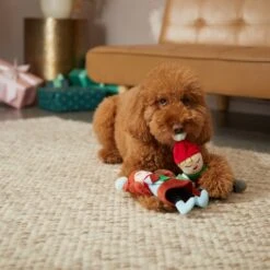 Frisco Holiday Carolers Plush Squeaky Dog Toy, 3 Count -Pet Store 287169 PT3. AC SS1800 V1632774907