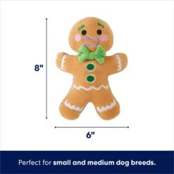 Frisco Holiday Naughty Or Nice Gingerbread Man Reversible Plush Squeaky Dog Toy -Pet Store 287217 PT1. AC SS1800 V1694814444