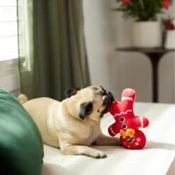 Frisco Holiday Naughty Or Nice Gingerbread Man Reversible Plush Squeaky Dog Toy -Pet Store 287217 PT3. AC SS1800 V1632775304