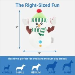 Frisco Holiday Naughty Or Nice Snowman Reversible Plush Squeaky Dog Toy -Pet Store 287219 PT2. AC SS1800 V1637704003