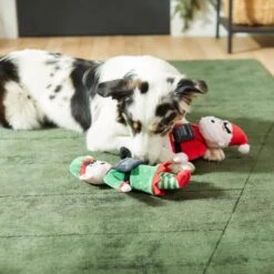 Frisco Holiday Bad Santa & Elf Plush Squeaky Dog Toy -Pet Store 287223 PT3. AC SS1800 V1632773570