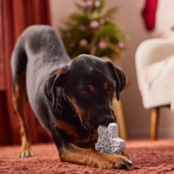 Frisco Holiday Nylon Snowflake Dog Chew Toy, Peanut Butter Flavor, Medium -Pet Store 291387 PT3. AC SS1800 V1629306692