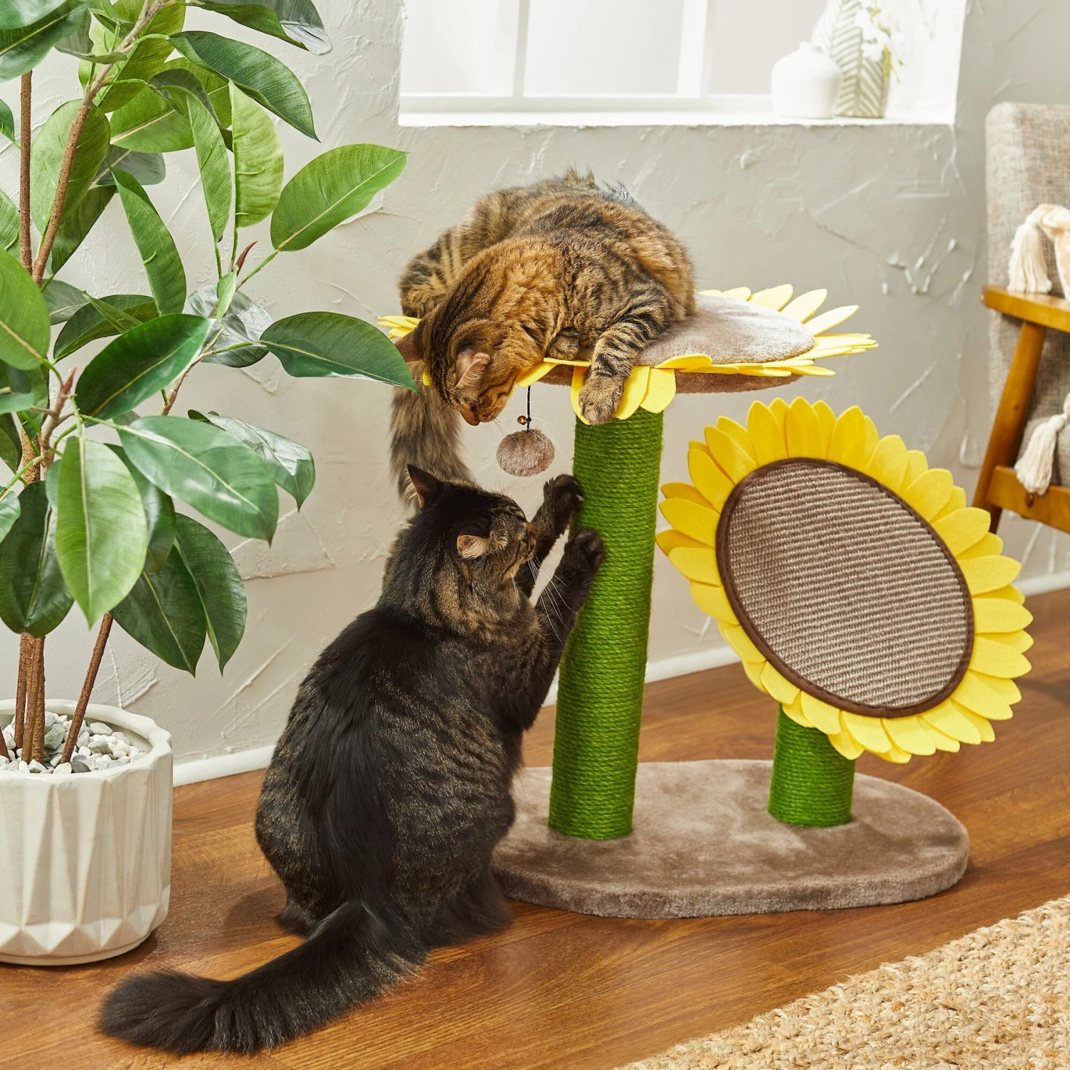 Frisco Sunflower Cat Scratching Post, Two Post with Lounger Frisco Sunflower Cat Scratching Post, Two Post With Lounger -Pet Store 296688 MAIN. AC SS1800 V1632856014