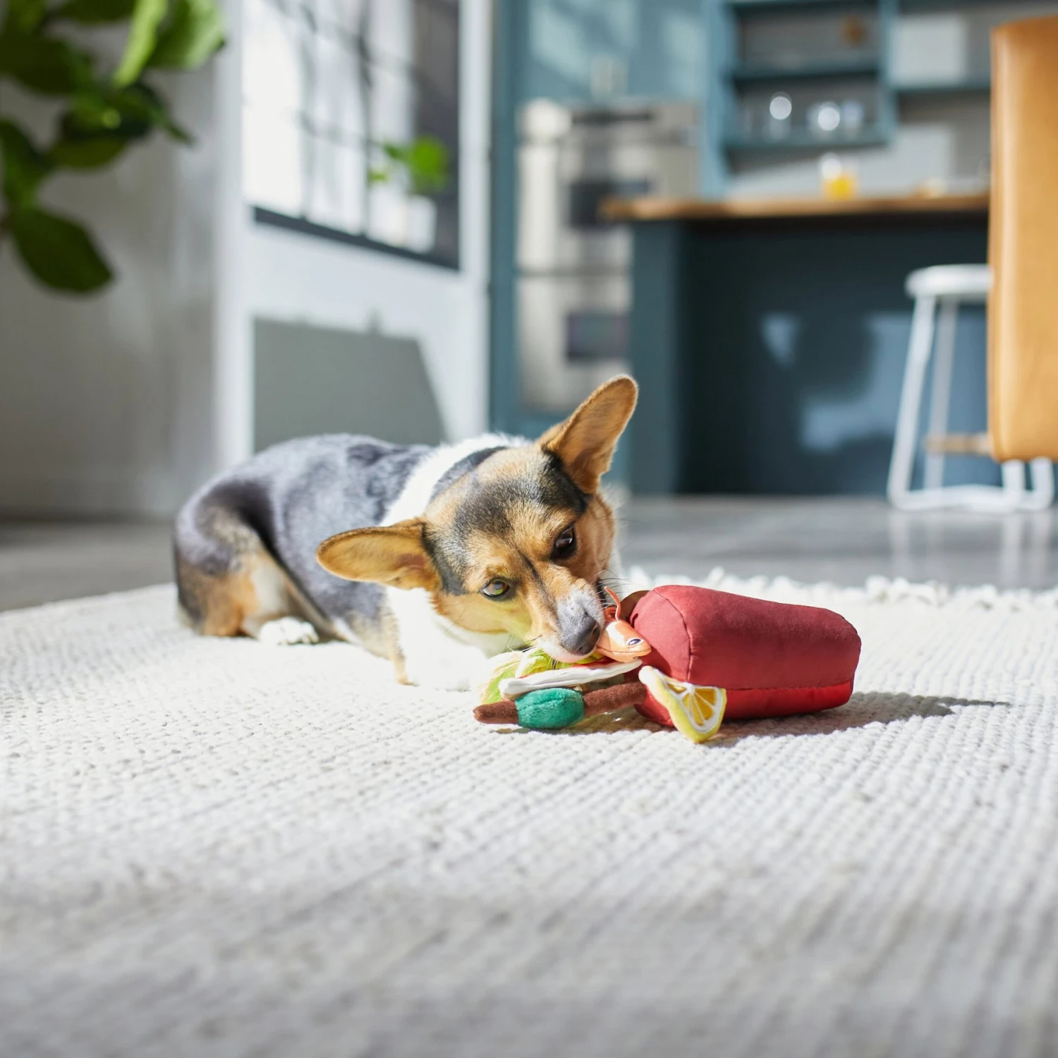 Frisco Brunch Bloody Mary Plush Squeaky Dog Toy Frisco Brunch Bloody Mary Plush Squeaky Dog Toy -Pet Store 297228 PT2. AC SS1800 V1642088343