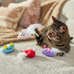 Frisco Valentine Heart Mice Plush Cat Toy With Catnip -Pet Store 298954 PT3. AC SS1800 V1701364814