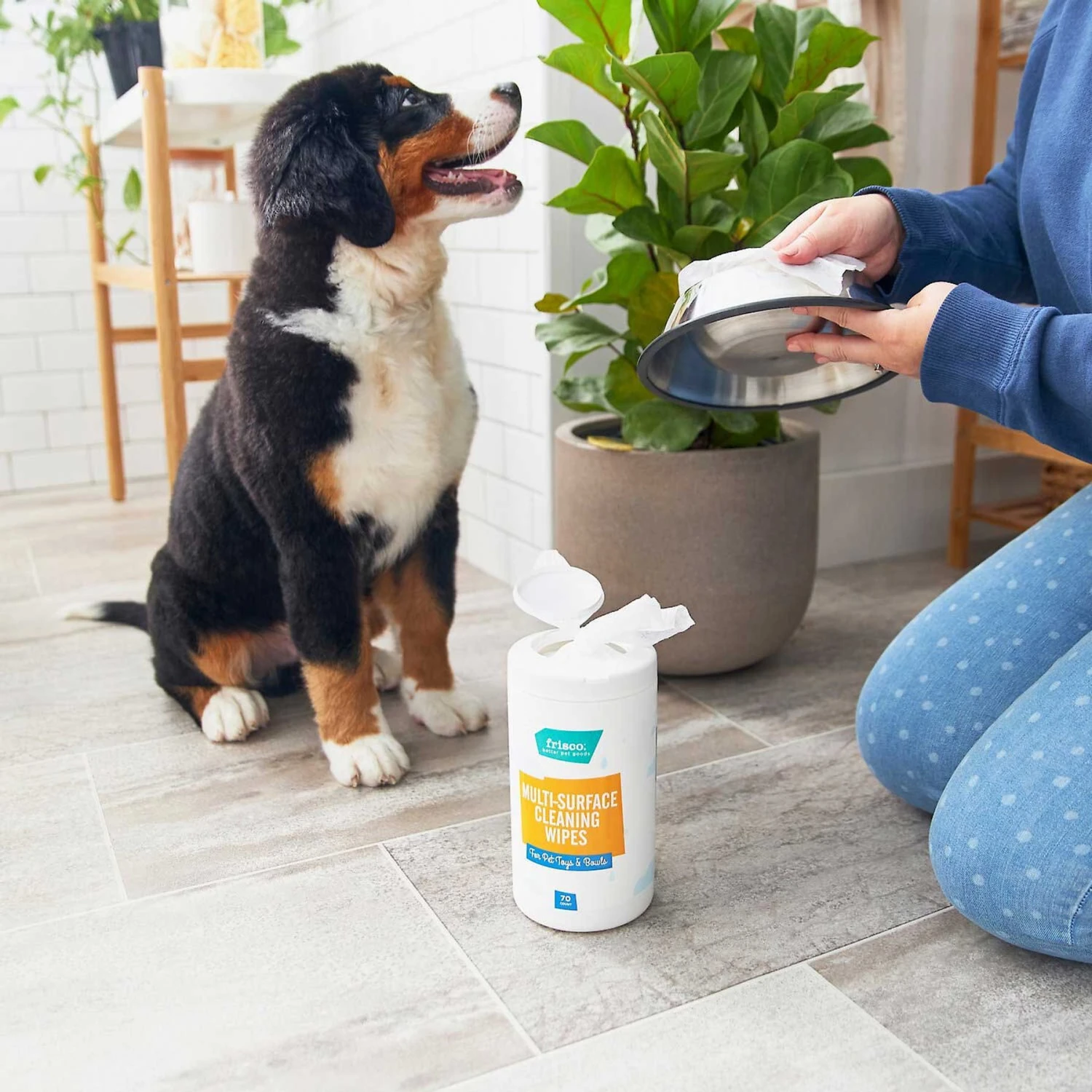 Catit Flower Plastic Cat Fountain & Frisco Pet Toy & Bowl Cleaning Wipes, 70 count Catit Flower Plastic Cat Fountain & Frisco Pet Toy & Bowl Cleaning Wipes, 70 Count -Pet Store 303288 PT7. AC SS1800 V1623047247