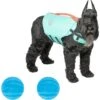 Frisco Active Dog Life Jacket & Frisco Foam Rubber Floating Fetch Ball No Squeak Dog Toy -Pet Store 303364 MAIN. AC SS1800 V1623163652