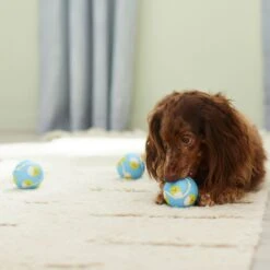 Frisco Easter Fetch Squeaky Tennis Ball Dog Toy, Medium, 3 Count -Pet Store 304964 PT4. AC SS1800 V1703184745