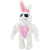 Frisco Easter Bunny Muscle Plush Squeaky Dog Toy 2 Frisco Easter Bunny Muscle Plush Squeaky Dog Toy -Pet Store 304976 MAIN. AC SS1800 V1642441114