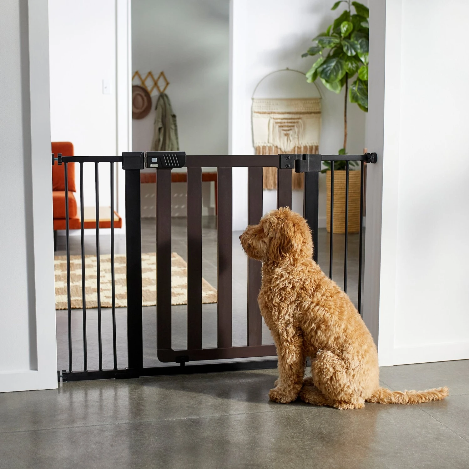 Frisco Wood & Metal Extra Wide Auto-close Dog Gate Frisco Wood & Metal Extra Wide Auto-close Dog Gate -Pet Store 306525 MAIN. AC SS1800 V1632938962