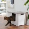 Frisco Multi-Function Covered Cat Litter Box, Jumbo -Pet Store 309855 MAIN. AC SS1800 V1631817414