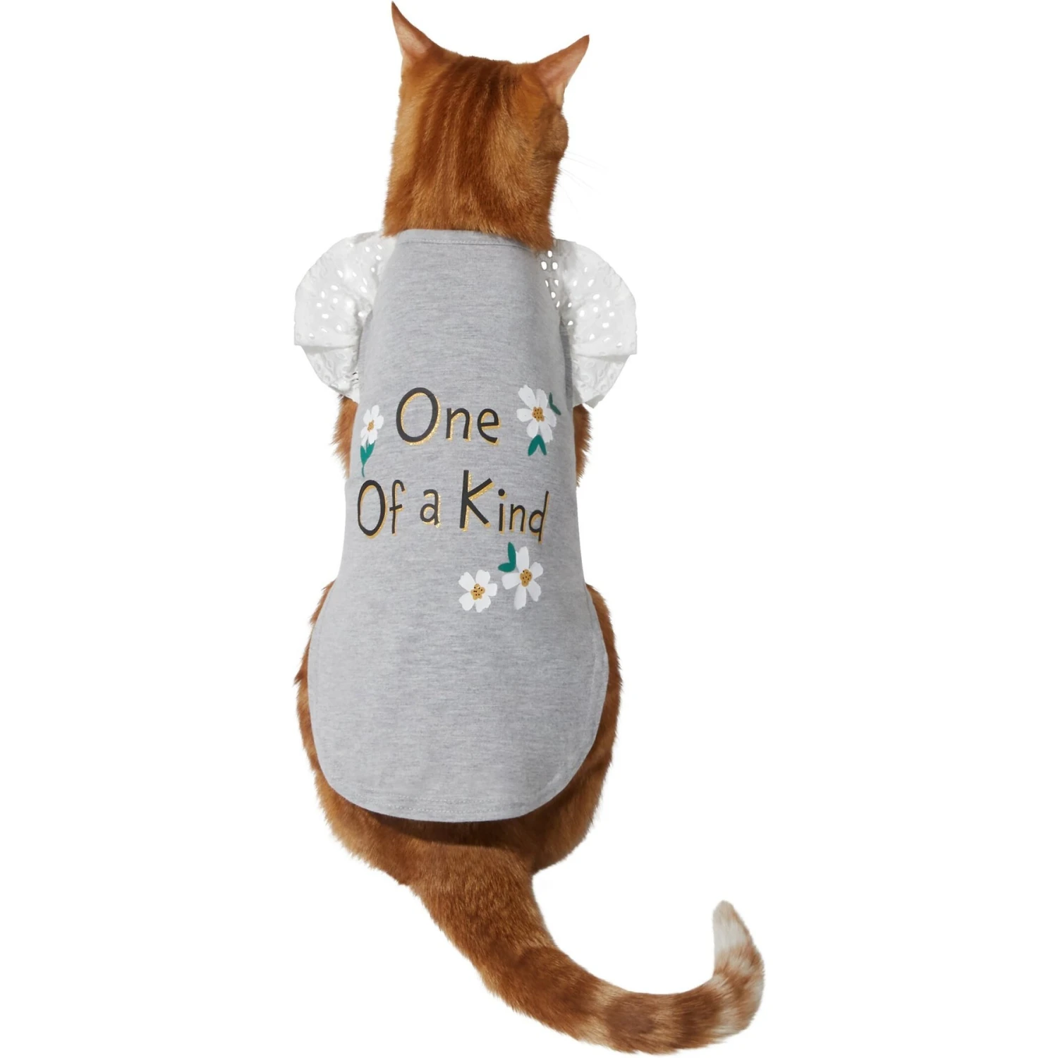 Frisco One of a Kind Dog & Cat T-Shirt Frisco One Of A Kind Dog & Cat T-Shirt -Pet Store 312080 PT2. AC SS1800 V1644424427