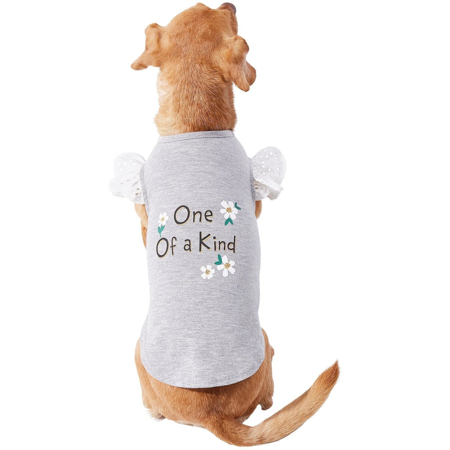 Frisco One of a Kind Dog & Cat T-Shirt Frisco One Of A Kind Dog & Cat T-Shirt -Pet Store 312080 PT3. AC SS1800 V1673303002