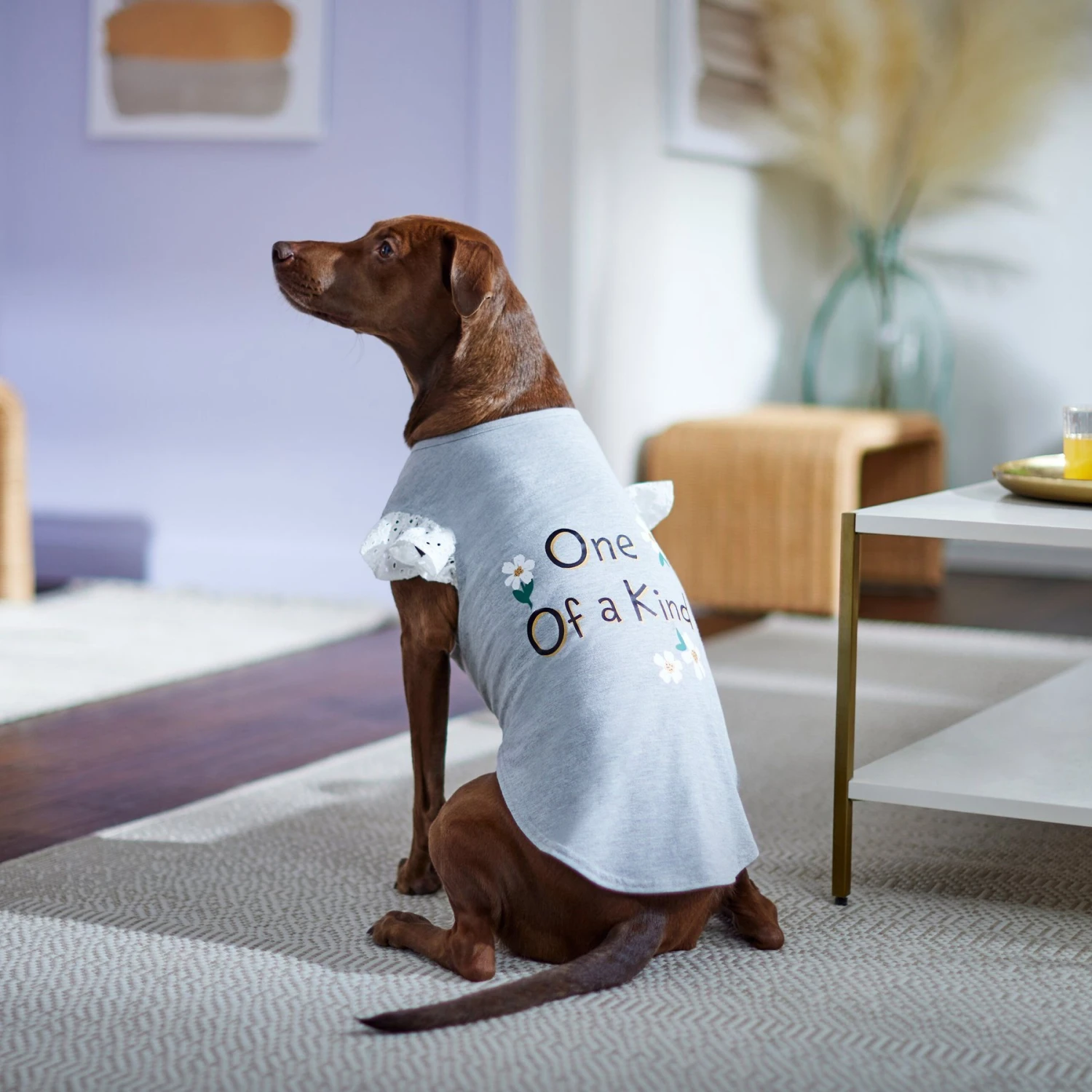 Frisco One of a Kind Dog & Cat T-Shirt Frisco One Of A Kind Dog & Cat T-Shirt -Pet Store 312080 PT5. AC SS1800 V1673304060