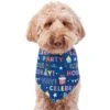 Frisco Celebration Dog & Cat Bandana 2 Frisco Celebration Dog & Cat Bandana -Pet Store 315133 MAIN. AC SS1800 V1646438946