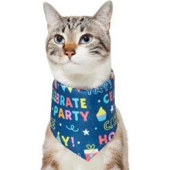 Frisco Celebration Dog & Cat Bandana 4 Frisco Celebration Dog & Cat Bandana -Pet Store 315133 PT2. AC SS1800 V1646439780