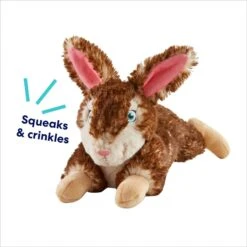 Frisco Realistic Rabbit Plush Squeaky Dog Toy 4 Frisco Realistic Rabbit Plush Squeaky Dog Toy -Pet Store 316939 PT2. AC SS1800 V1695760987