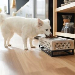 Frisco Premium Wood Elevated Stainless Steel Double Diner Dog & Cat Bowl, 3 Cup -Pet Store 331507 PT2. AC SS1800 V1657656894