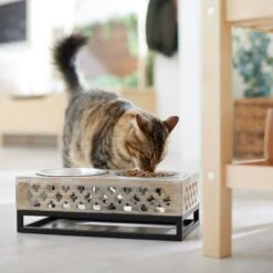 Frisco Premium Wood Elevated Stainless Steel Double Diner Dog & Cat Bowl, 3 Cup -Pet Store 331507 PT3. AC SS1800 V1657656894