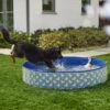 Frisco Outdoor Dog Swimming Pool, Rubber Ducky 2 Frisco Outdoor Dog Swimming Pool, Rubber Ducky -Pet Store 331660 MAIN. AC SS1800 V1646178232