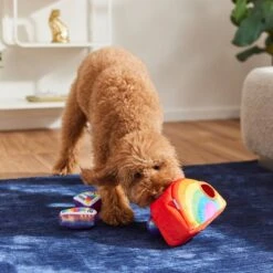 Frisco Pride Rainbow Hide & Seek Puzzle Plush Squeaky Dog Toy -Pet Store 331673 PT3. AC SS1800 V1647356070