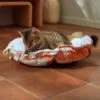 Frisco Calico Cat Design Adjustable Cat Bolster Bed 1 Frisco Calico Cat Design Adjustable Cat Bolster Bed -Pet Store 333860 MAIN. AC SS1800 V1658718002