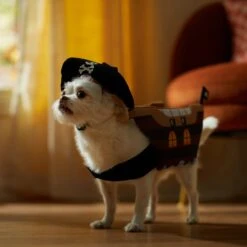 Frisco Pirate Ship Dog & Cat Costume 7 Frisco Pirate Ship Dog & Cat Costume -Pet Store 335078 PT7. AC SS1800 V1657656881