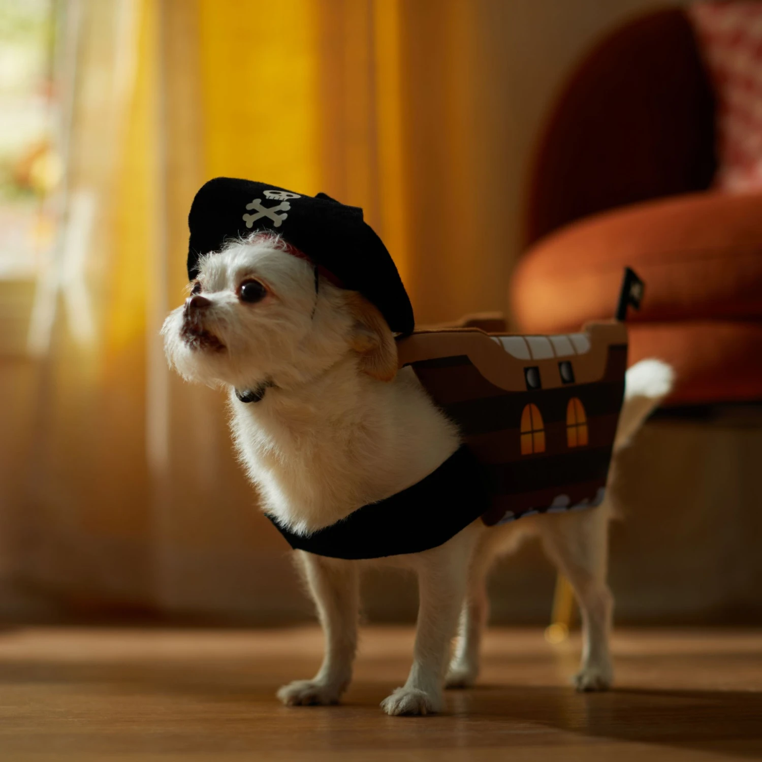 Frisco Pirate Ship Dog & Cat Costume Frisco Pirate Ship Dog & Cat Costume -Pet Store 335078 PT7. AC SS1800 V1657656881