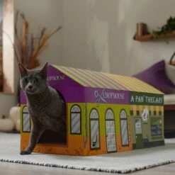 Frisco Halloween A-Paw-Thecary & Chop House Cardboard Cat House With Catnip 5 Frisco Halloween A-Paw-Thecary & Chop House Cardboard Cat House With Catnip -Pet Store 344002 PT3. AC SS1800 V1657657029