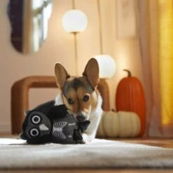 Frisco Halloween Spooky Owl Plush Squeaky Dog Toy 4 Frisco Halloween Spooky Owl Plush Squeaky Dog Toy -Pet Store 344162 PT3. AC SS1800 V1657657049