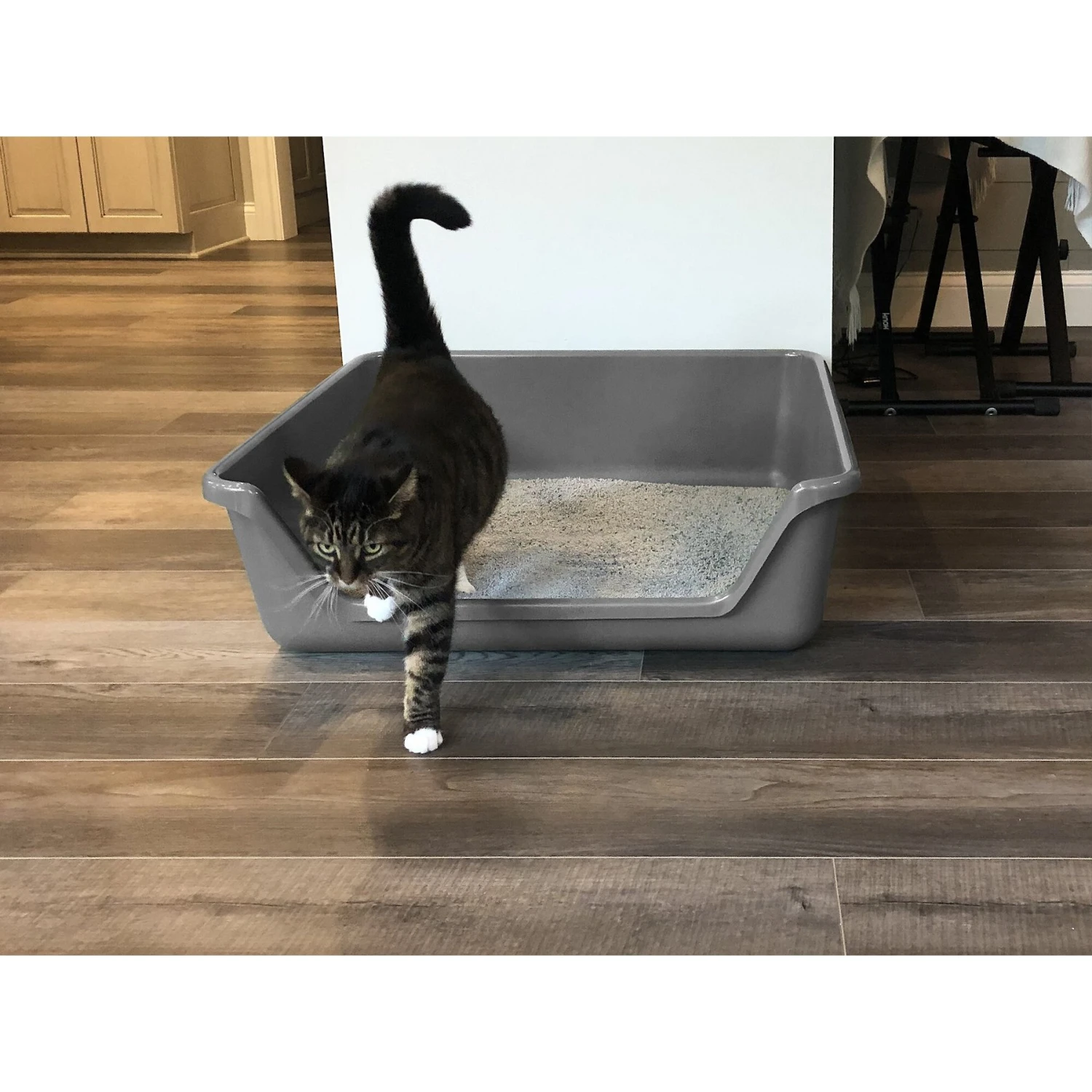 Shirley K's Senior Cat Litter Box, X-Large Shirley K's Senior Cat Litter Box, X-Large -Pet Store 347408 MAIN. AC SS1800 V1642013797
