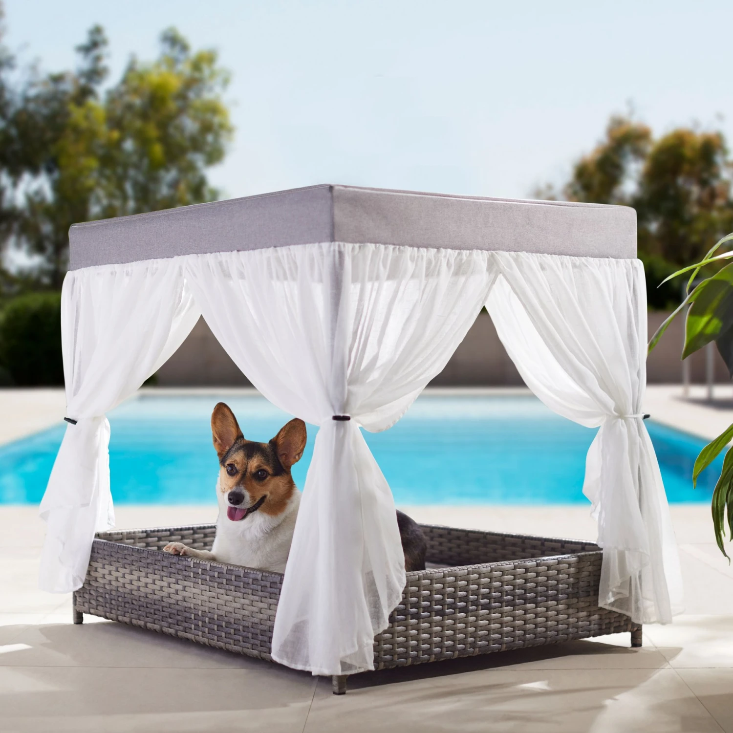Frisco Outdoor Wicker Canopy Dog Bed Frisco Outdoor Wicker Canopy Dog Bed -Pet Store 356071 MAIN. AC SS1800 V1657657125