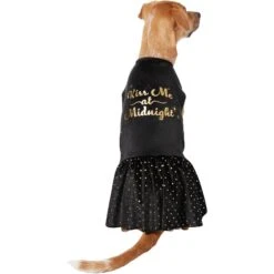 Frisco Kiss Me At Midnight Dog & Cat Dress -Pet Store 358044 PT2. AC SS1800 V1660760387