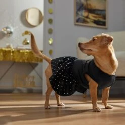 Frisco Kiss Me At Midnight Dog & Cat Dress -Pet Store 358044 PT7. AC SS1800 V1661799831