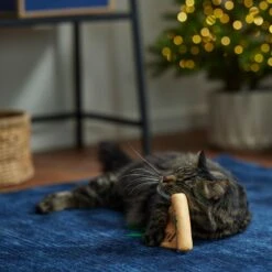 Frisco Holiday Santa's List Plush & Feather Cat Toy With Catnip -Pet Store 360895 PT3. AC SS1800 V1661874361