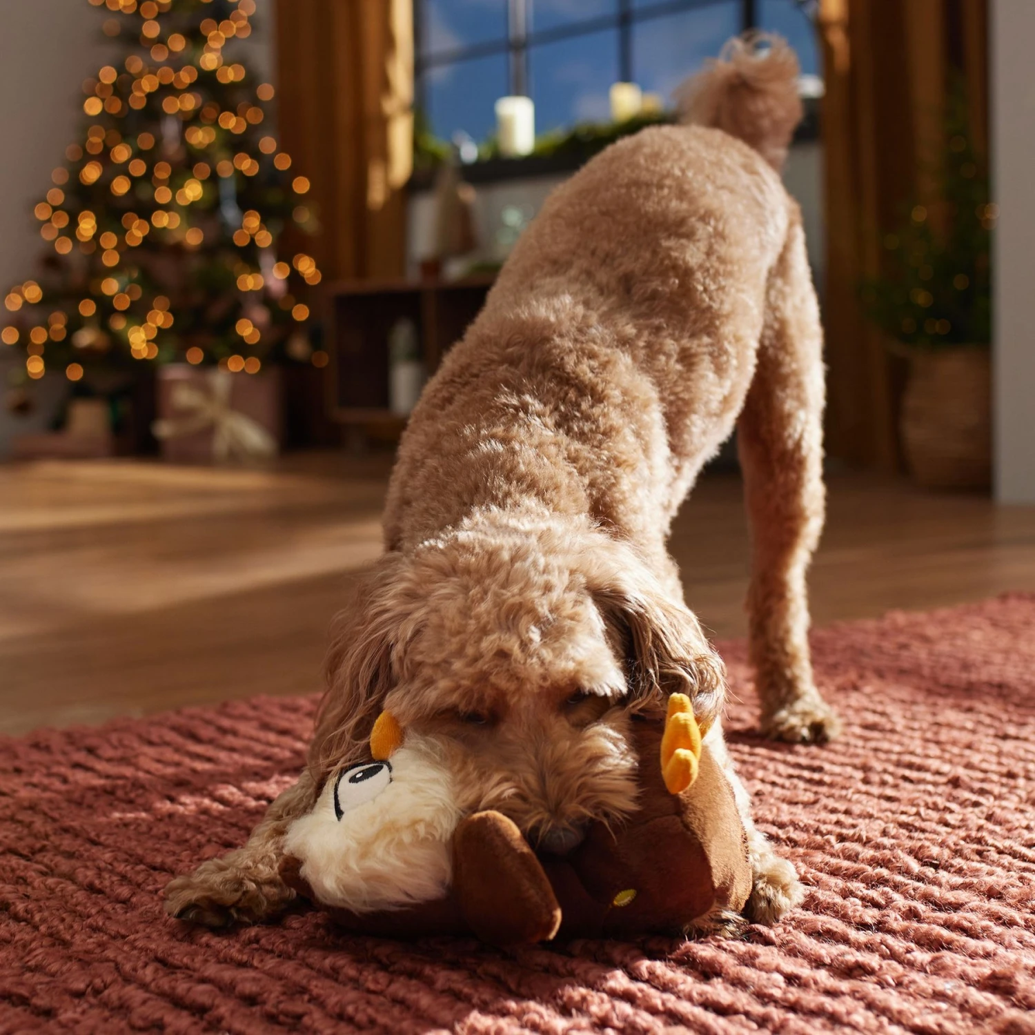 Frisco Holiday Festive Owl Plush Squeaky Dog Toy Frisco Holiday Festive Owl Plush Squeaky Dog Toy -Pet Store 360919 PT3. AC SS1800 V1661874361