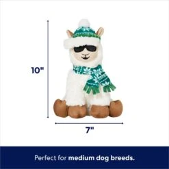 Frisco Holiday Fa La La Llama Plush Squeaky Dog Toy 3 Frisco Holiday Fa La La Llama Plush Squeaky Dog Toy -Pet Store 360924 PT1. AC SS1800 V1695046159