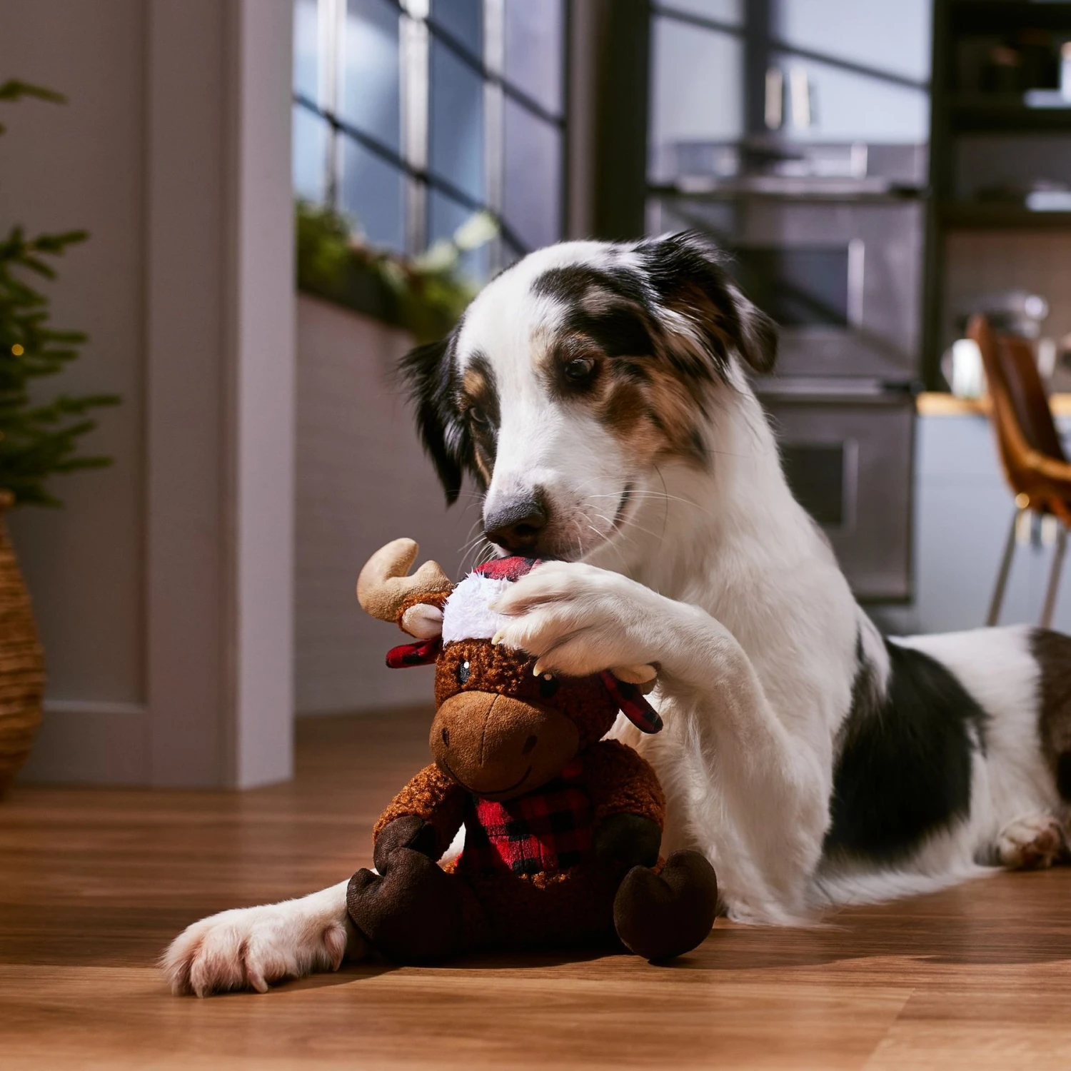 Frisco Holiday Cozy Moose Plush Squeaky Dog Toy Frisco Holiday Cozy Moose Plush Squeaky Dog Toy -Pet Store 360934 PT3. AC SS1800 V1661874193