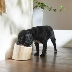Frisco Elevated Slanted Bamboo Melamine Non-Skid Dog Bowl With Bamboo Stand -Pet Store 363387 PT2. AC SS1800 V1657657267